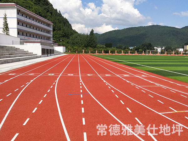 銅仁中學(xué)塑膠跑道、草坪